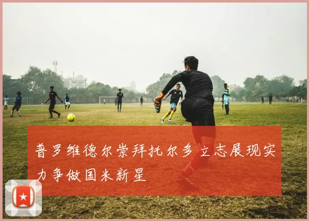 普罗维德尔崇拜托尔多立志展现实力争做国米新星